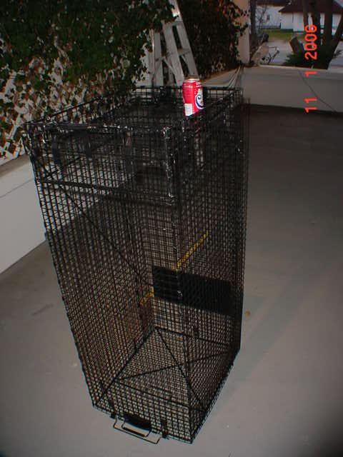 Large Dog Live Cage Trap~nuisance pest control Humane~~  